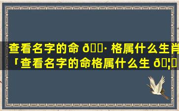 查看名字的命 🌷 格属什么生肖「查看名字的命格属什么生 🦉 肖属相」